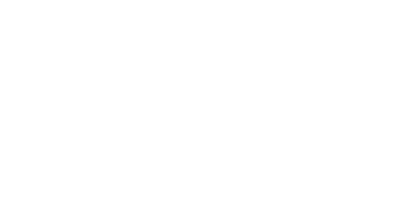 bouygues